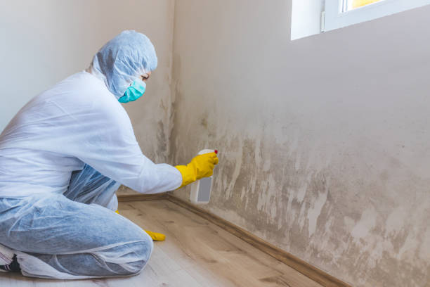 Hvac And Air Duct Mold Remediation inspection of HVAC system in Princeton